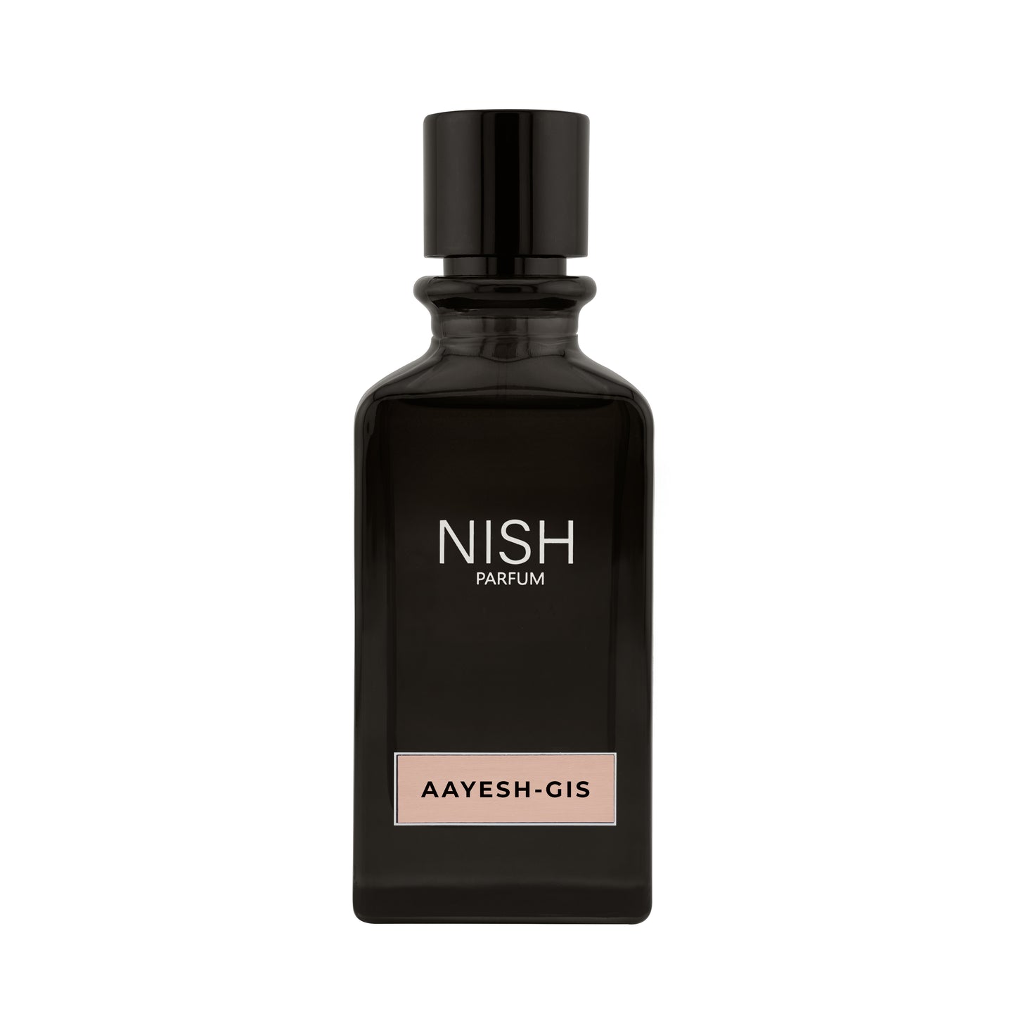 AAYESH - GIS